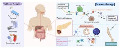 Frontiers and future of immunotherapy for pancreatic cancer: from molecular mechanisms to clinical application